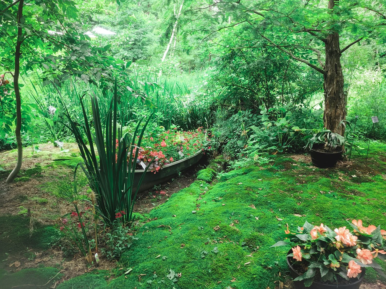 Mantenimiento de jardines y piscinas